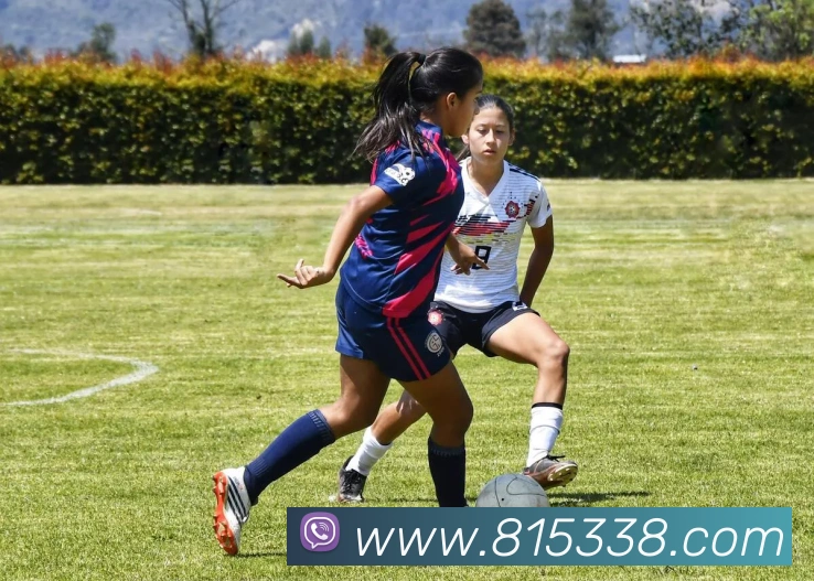 yabo体育服务体系